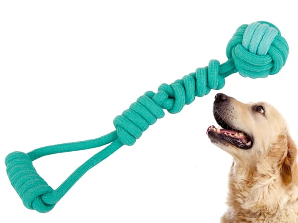 Draleke / Kampleke for Hund – Hundeleke