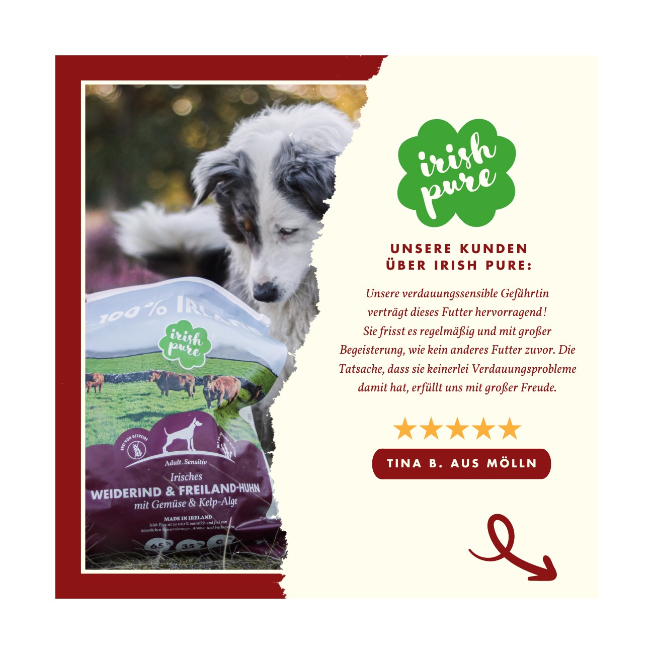 Irish Pure - Rind, Huhn + Gemüse & Kelp 100 g