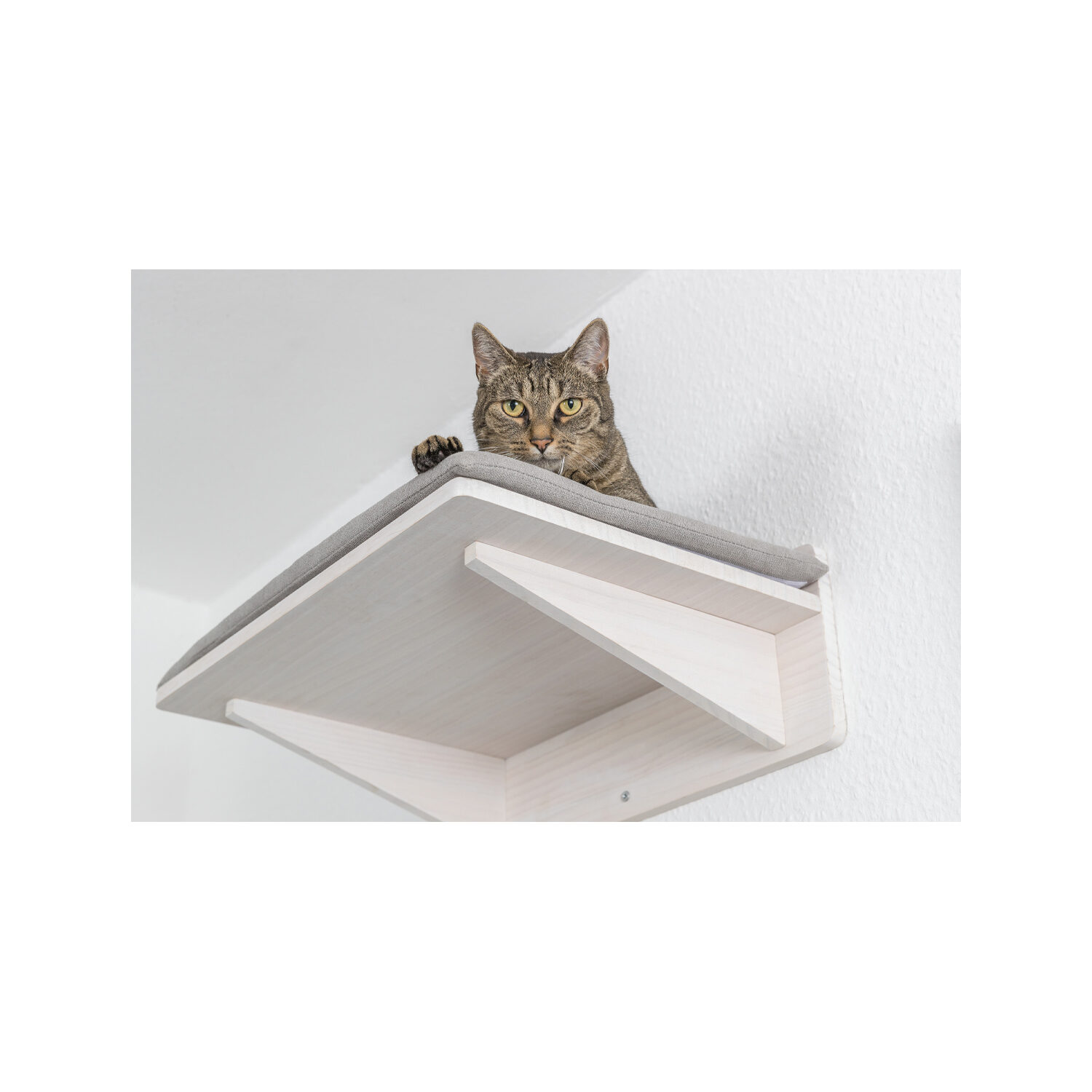 Trixie Ligplateau voor Muur