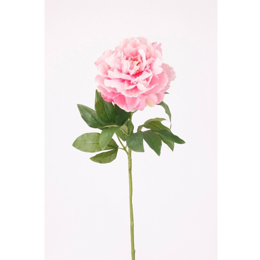 KUNSTIG PLANTE EMERALD PION SNITT ROSA 65CM