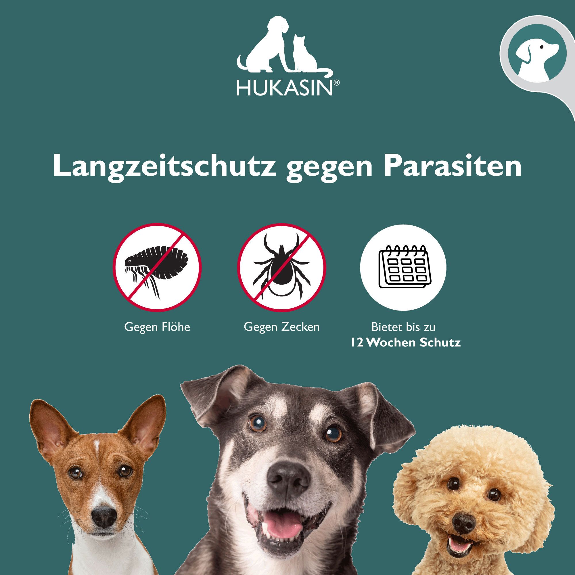 Hukasin® Spot On Hund - Zecken- und Floh Schutz - langanhaltender Zeckenschutz Hund & Flohmittel Hund bis zu 12 Wochen, für die Gesundheit Ihres Hundes