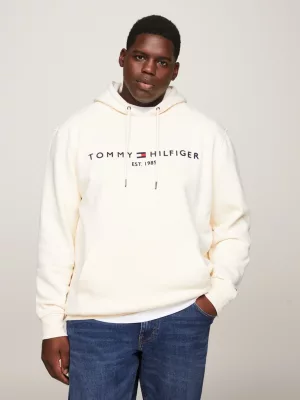 Moletom com capuz Plus Logo de corte regular