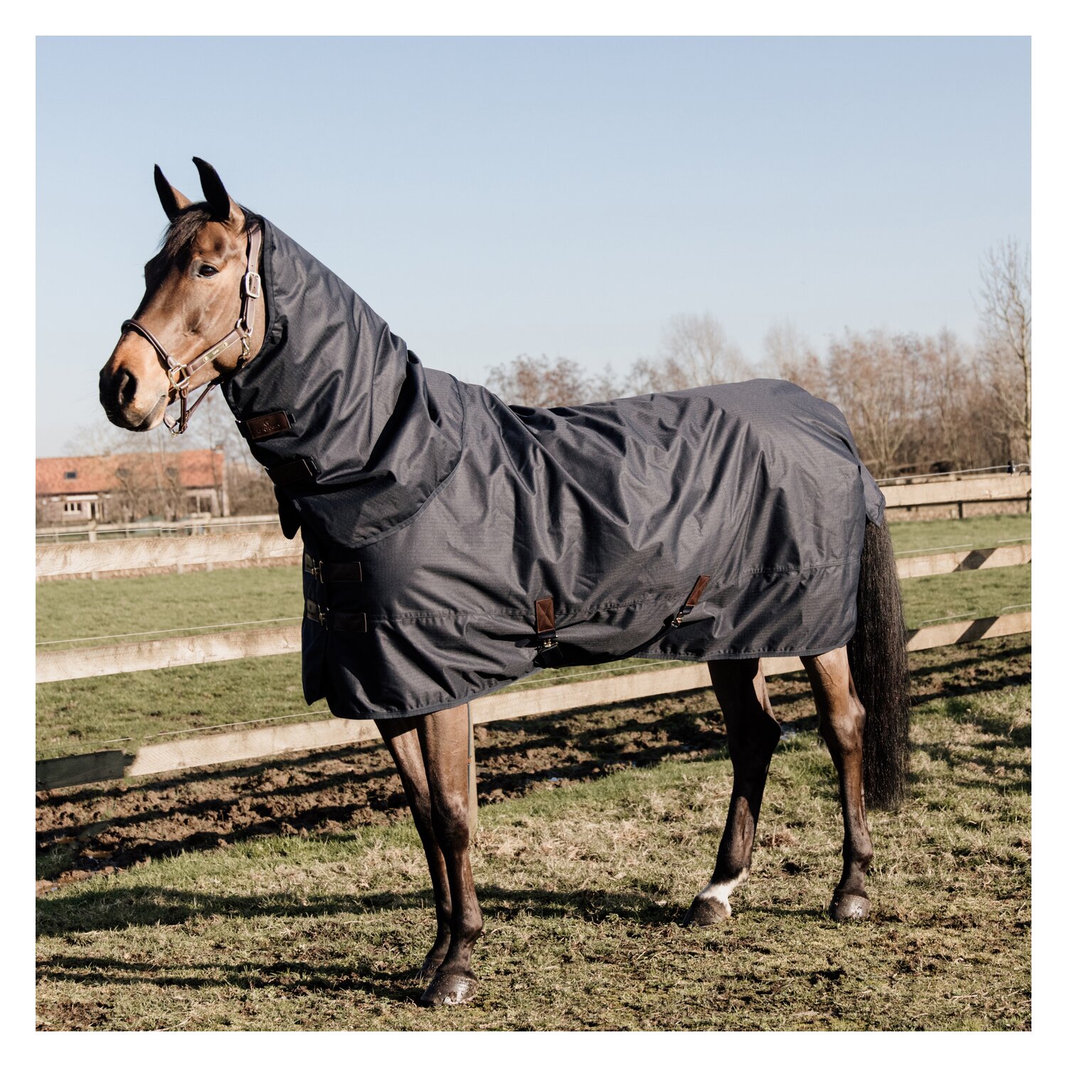KENTUCKY Outdoordecke All Weather Classic 50g - navy