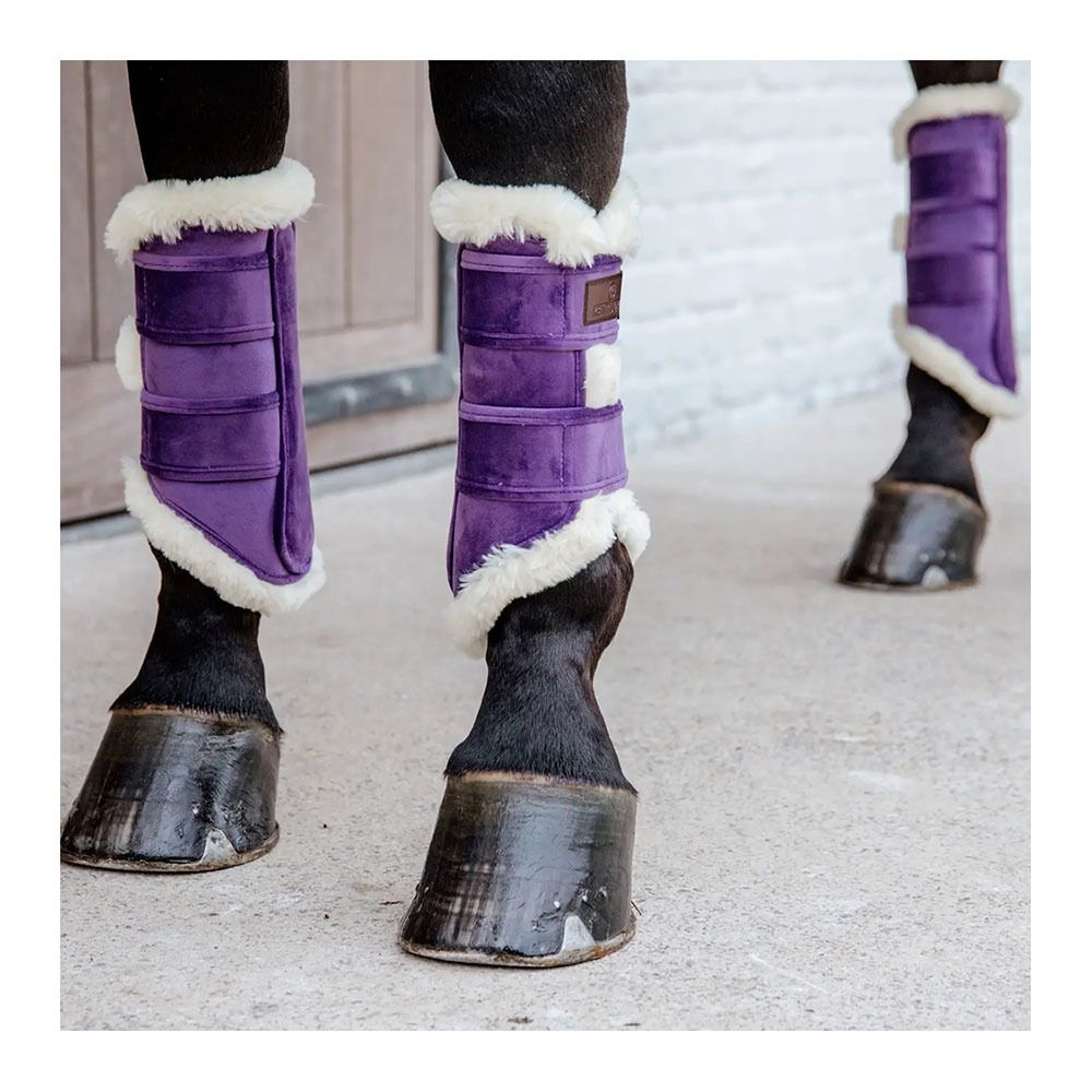 Kentucky VELVET CONTRAST - Guêtres fermés royal purple