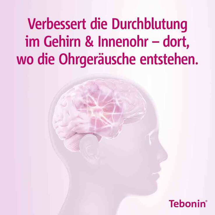 Tebonin intens 120 mg Filmtabletten, 30 St