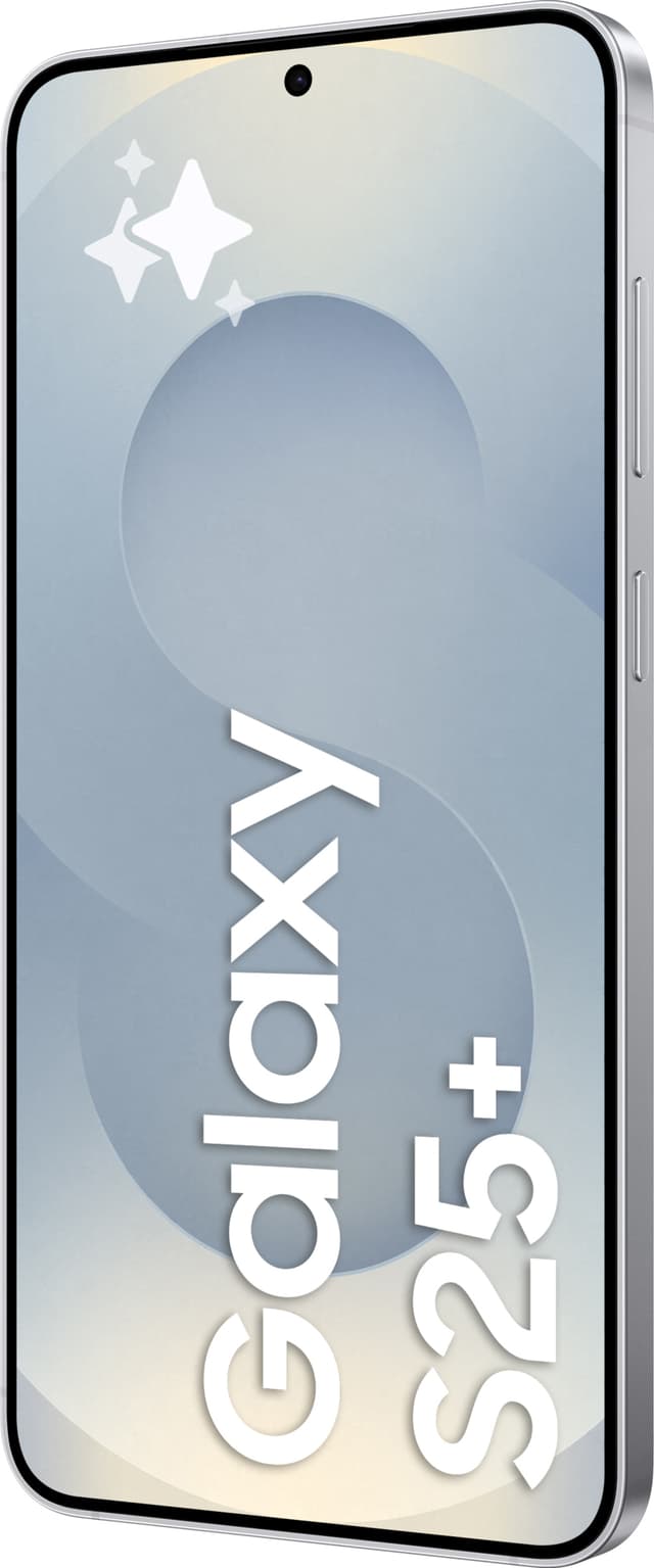 Samsung Galaxy S25+ 5G smartphone 12/256GB (Silver Shadow)