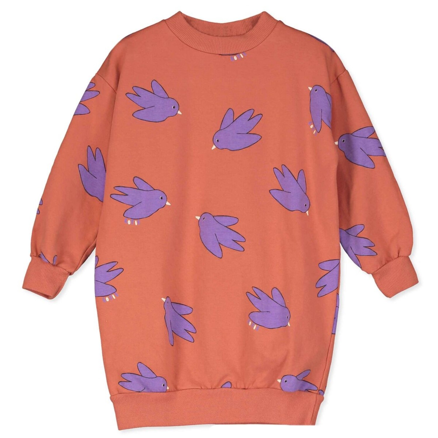 Lötiekids | Birds Long Sweatdress | Clay