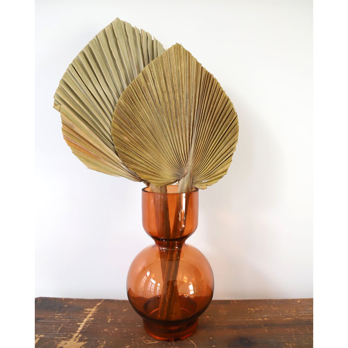 Feuille de palme naturelle 15-20 cm Atelier jasmin