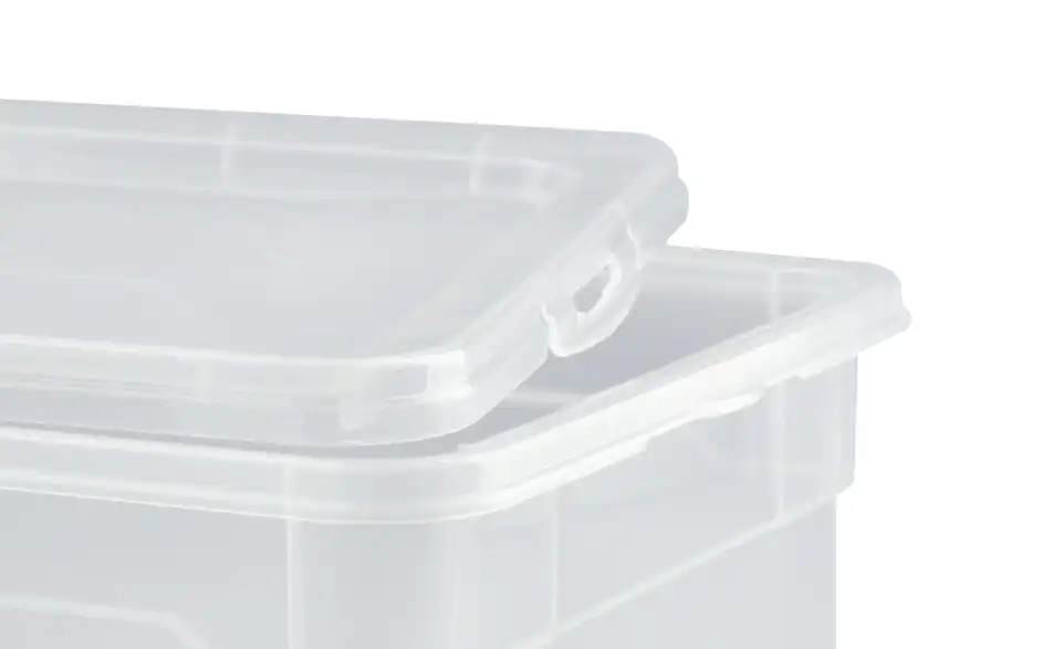 Rotho Aufbewahrungsbox mit Deckel 19 cm
