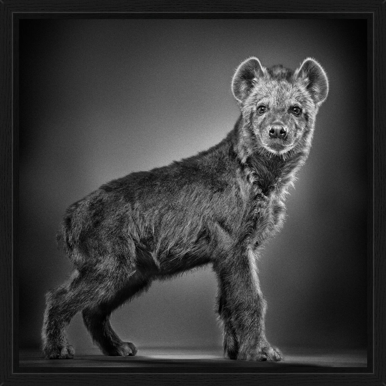 Sergej by Alexander Von Reiswitz - Limited Edition. Edition of: 150. Signed.
