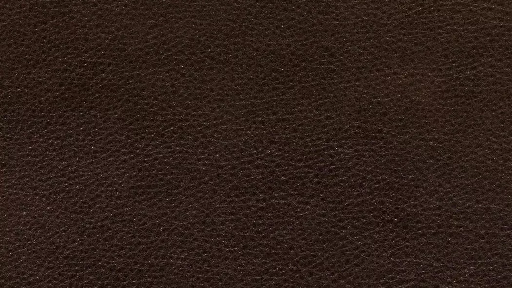 Sofa Experio - Free Motion