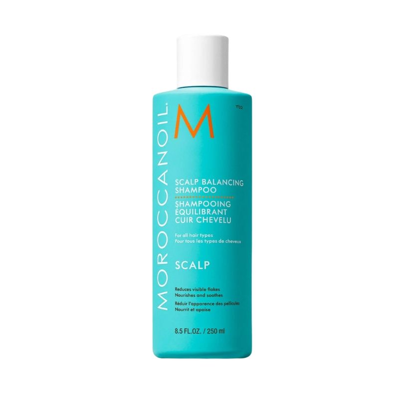 Shampooing équilibrant cuir chevelu sec Scalp Moroccanoil 250ml