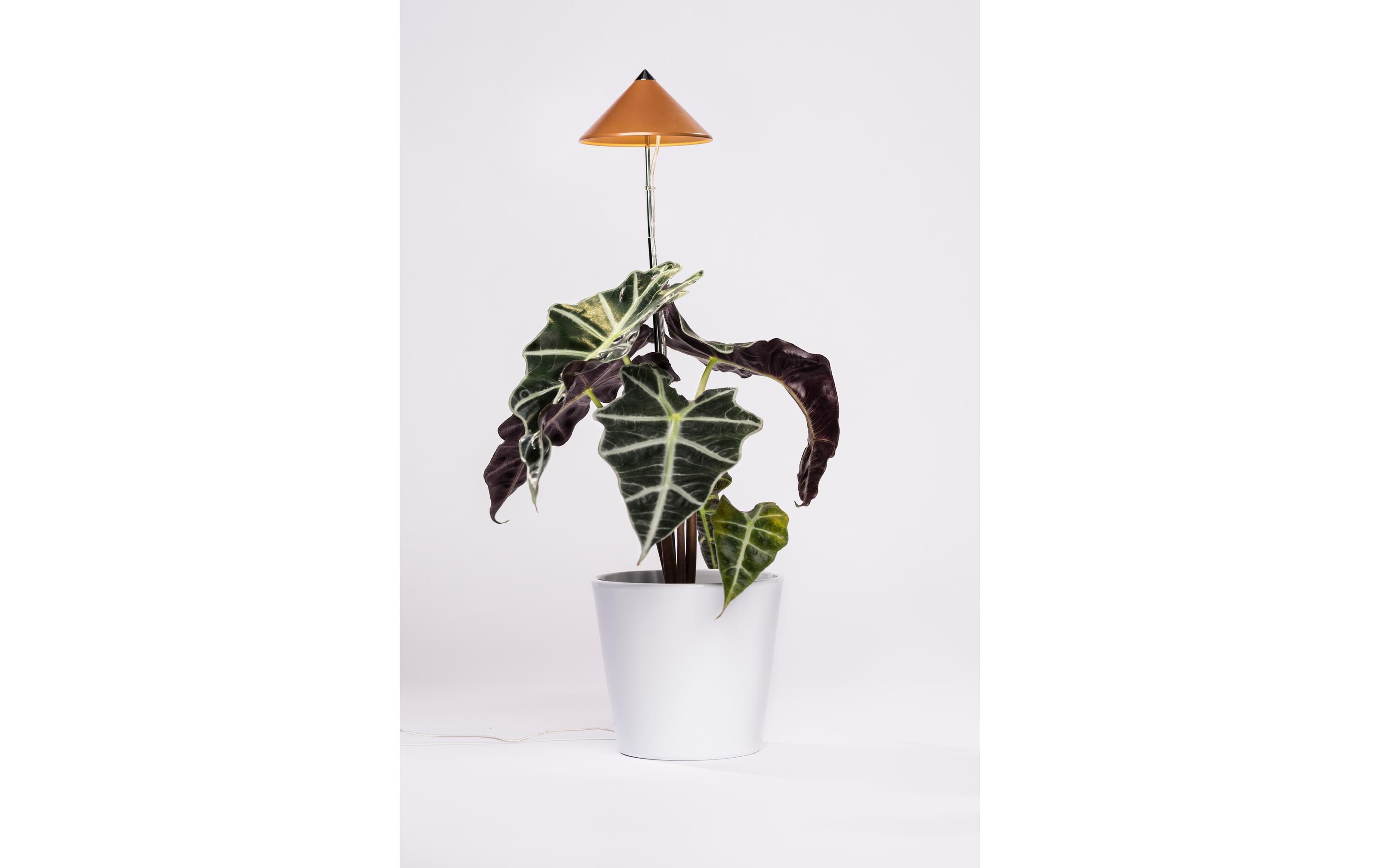 Pflanzenleuchte SunLite 7 W, KupferLED-Pflanzenlampe mit Vollspektrum
