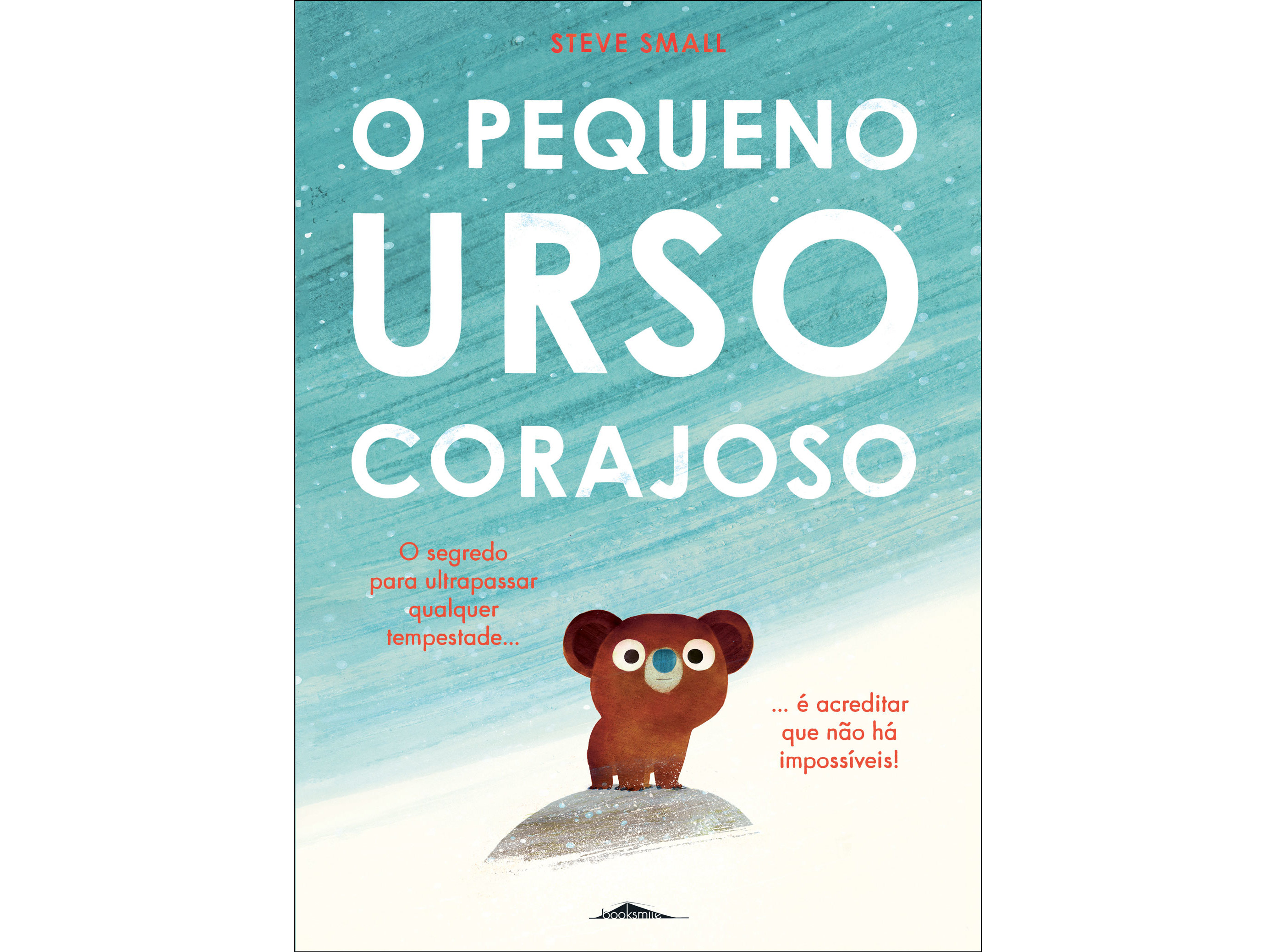 LIVRO O PEQUENO URSO CORAJOSO DE STEVE SMALL