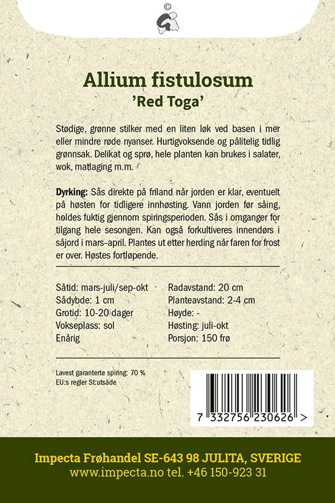 Allium fistulosum 'Red Toga' Rød Vårløk 'Red Toga'