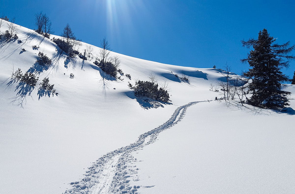 Schneeschuhwandern im Raum Rosenheim als Geschenkidee