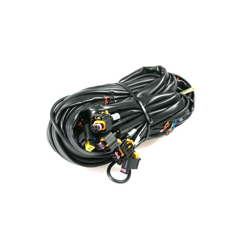 Landi Renzo EVO12 - 3/4 Zylinder Kabelbaum