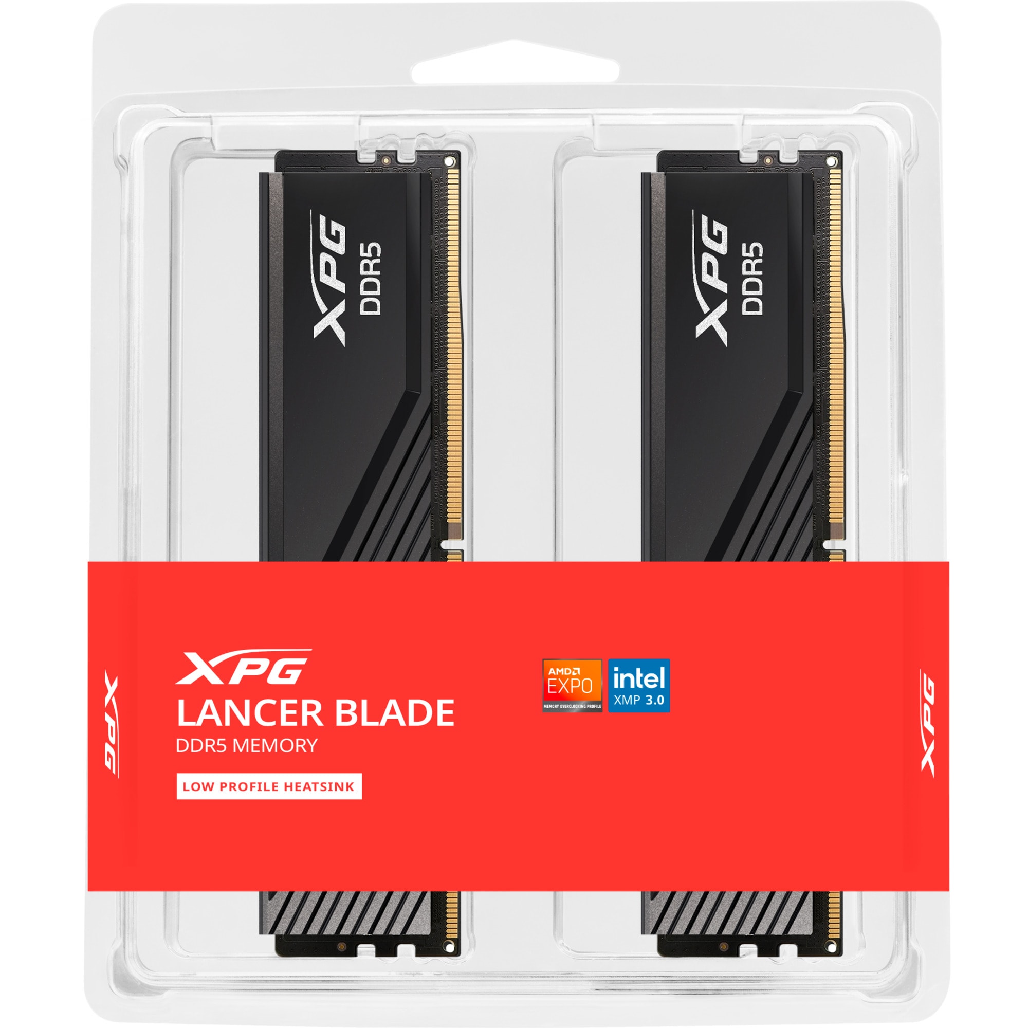 ADATA Arbeitsspeicher DIMM 32 GB DDR5-6000 (2x 16 GB) Dual-Kit