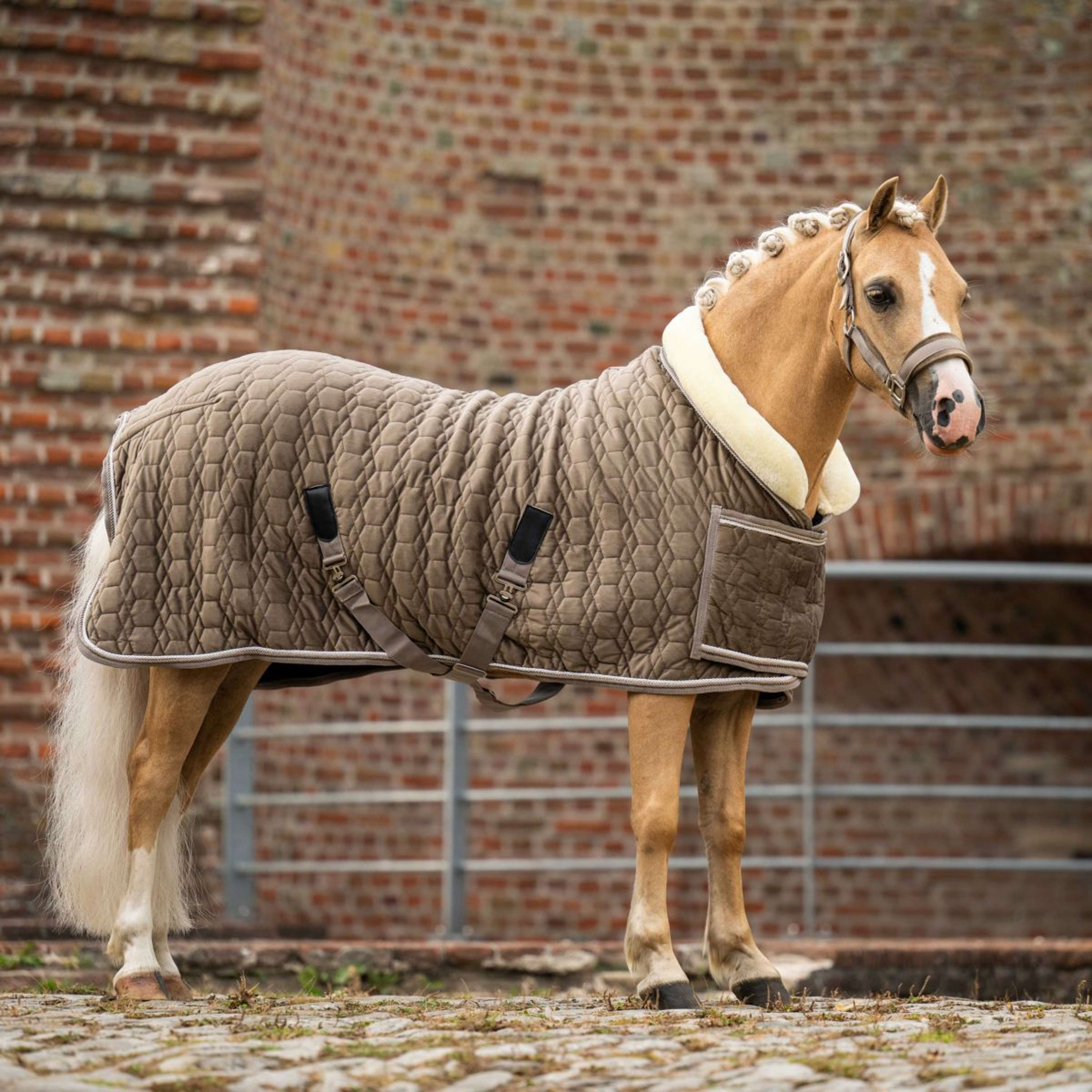 HB Ruitersport Showdeken Special Peach Taupe