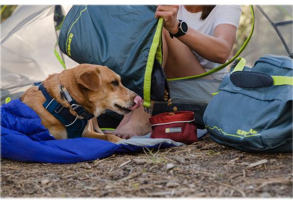 RUFFWEAR® Hundehalsband Front Range™