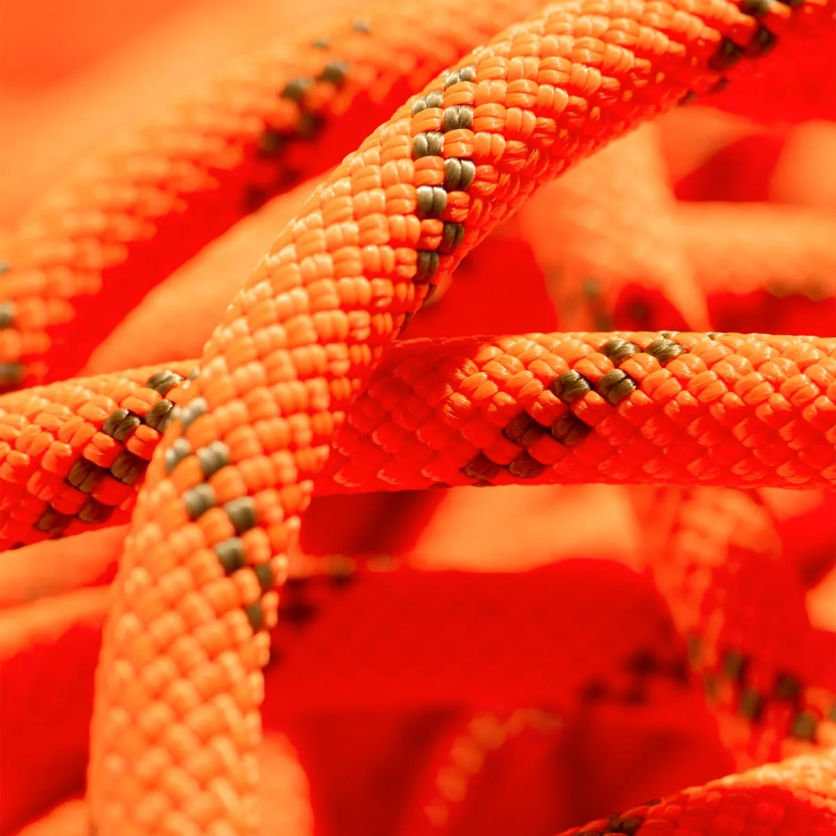 Mammut 8.0 Alpine Dry Rope Dry 70m Standard/Safety Orange/Boa