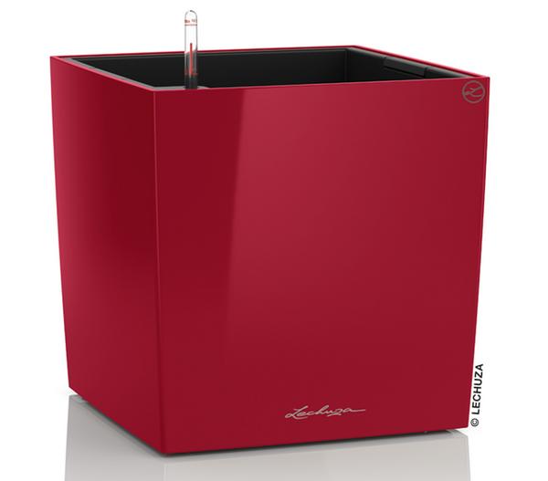 LECHUZA® CUBE, All-in-One Set
