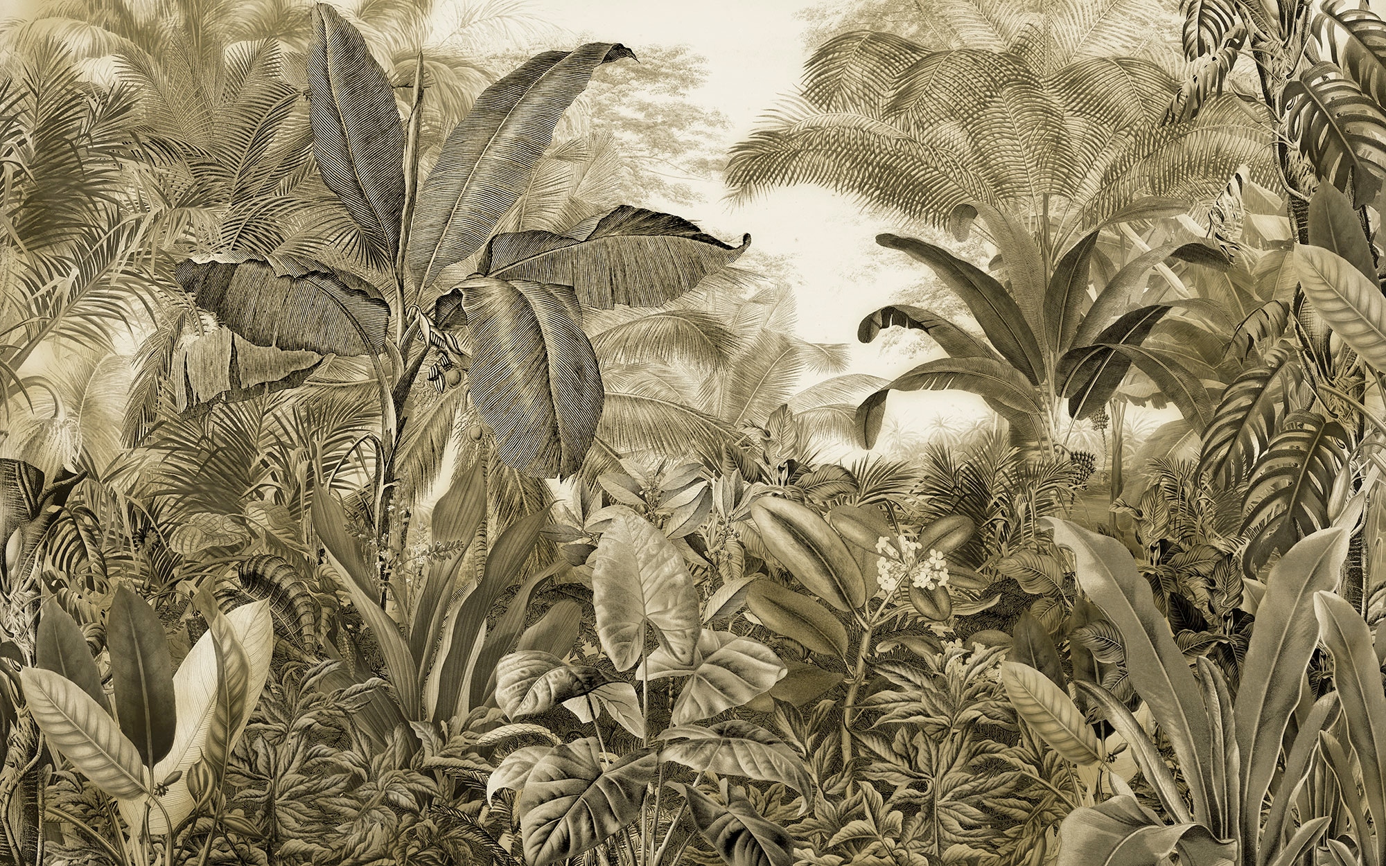 Komar Fototapete »Digitaldruck Vlies -  Adventure Awaits - Grösse 400 x 250 cm« bedruckt | floral | geblümt | gemustert | tropisch glatt Wohnzimmer, Schlafzimmer