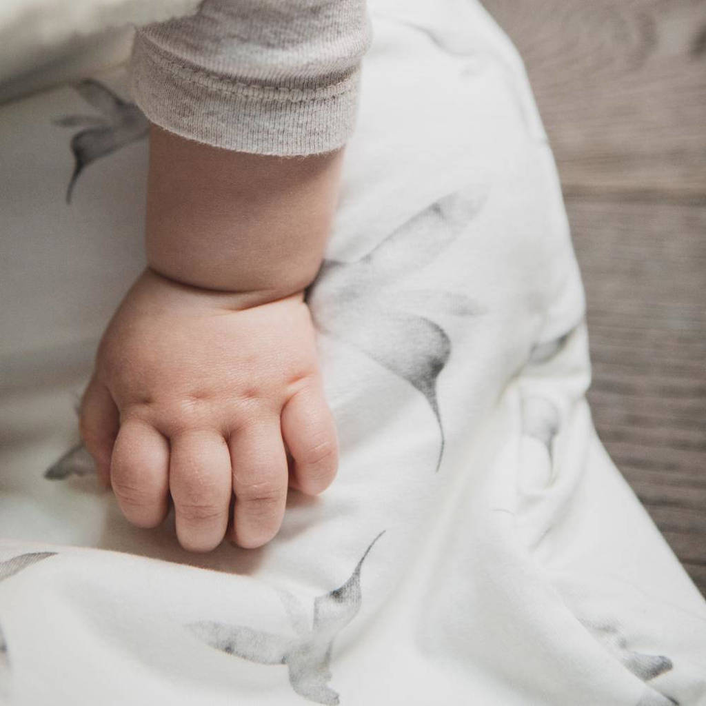 baby winter slaapzak Little Dreams
