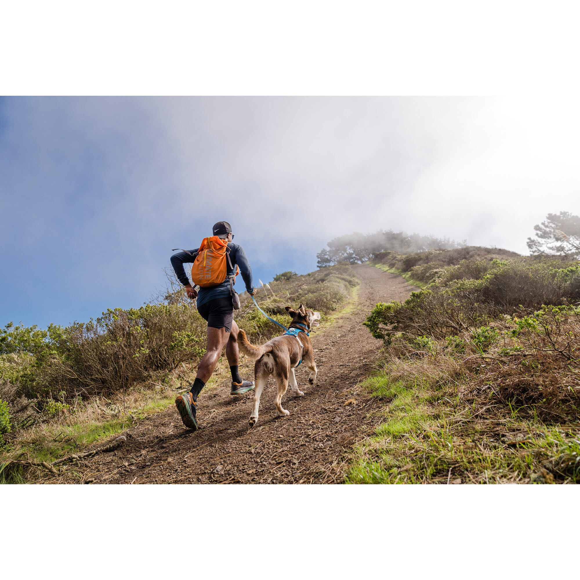 Ruffwear Hi & Light Harness