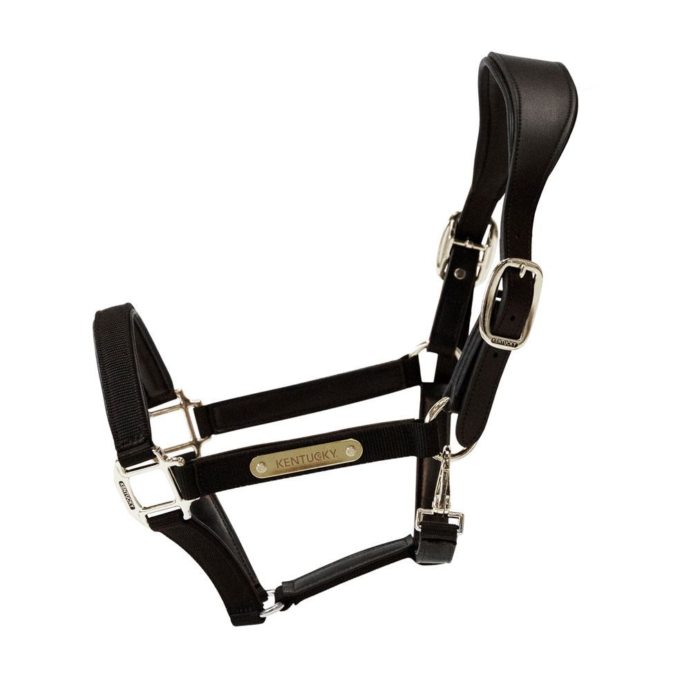 Kentucky ANATOMIQUE NYLON - Licol black