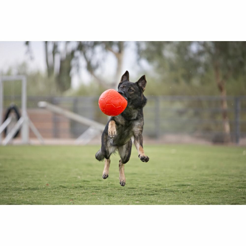 Jolly Pets Soccer Ball Oranje ø 20 cm