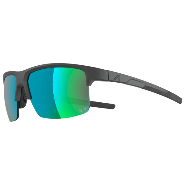 Alpina - Eagle Q-Lite S2 - Lunettes de soleil