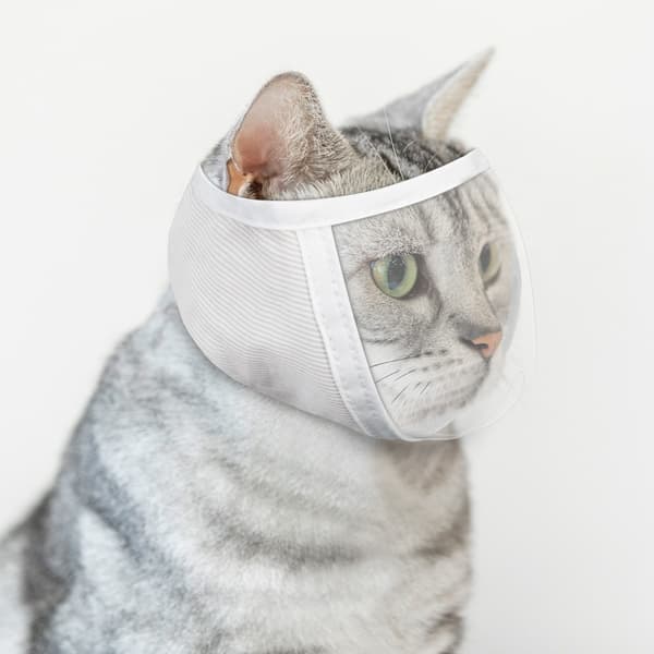 INF Kattenekurv for trimming og behandling Hvit  M