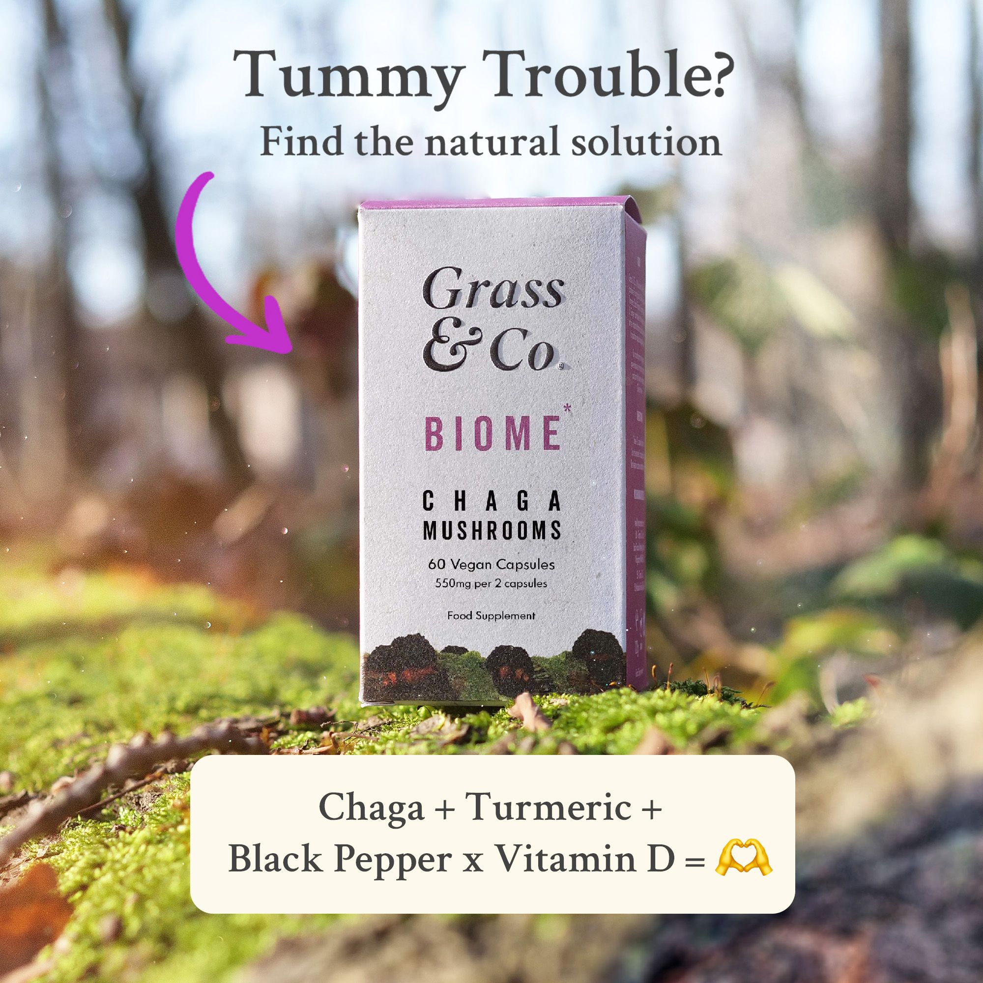 Grass & Co. BIOME Chaga-Vitalpilz-kapseln