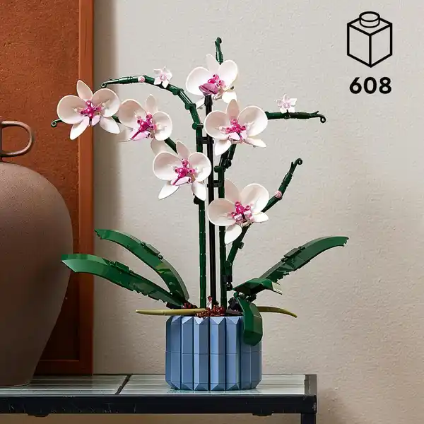 10311 Orchidee