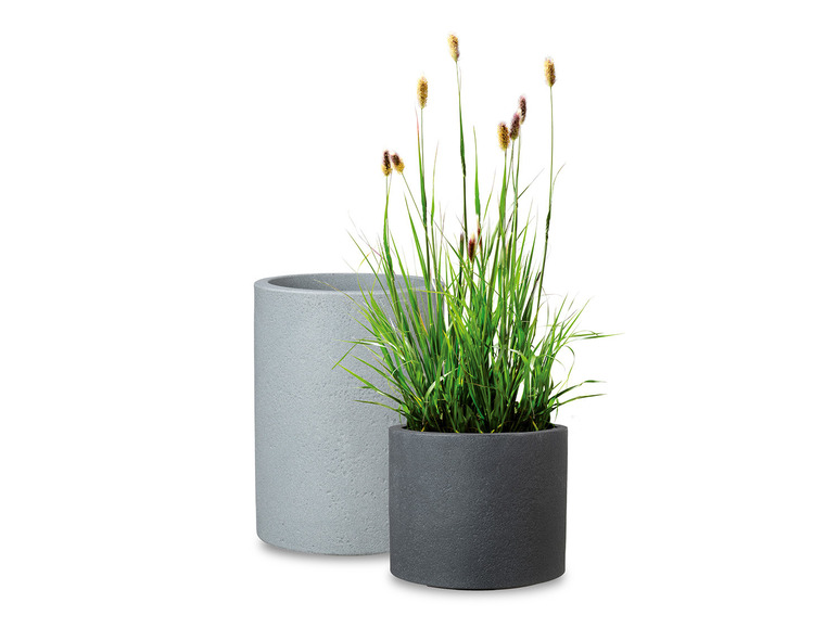 Plantenbak