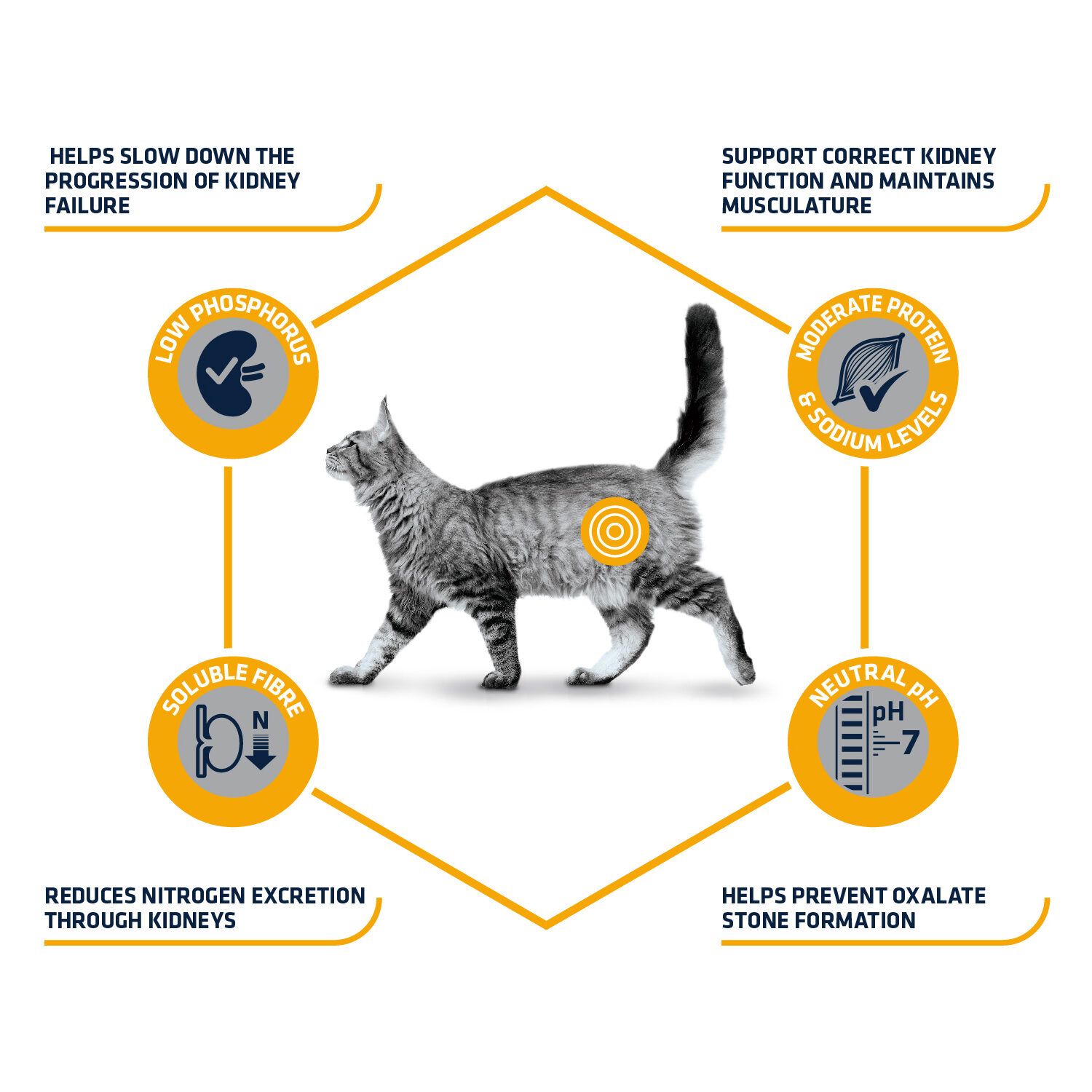 Affinity Advance Veterinary Diets Renal Kat