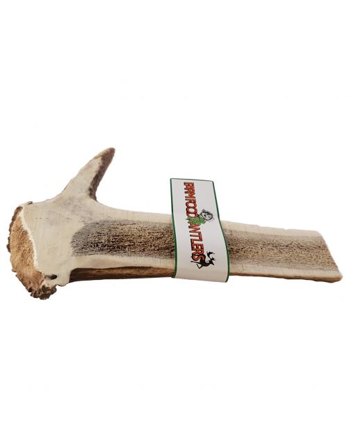 Farm Food Antlers Easy Hertengewei Hert - Hondensnacks