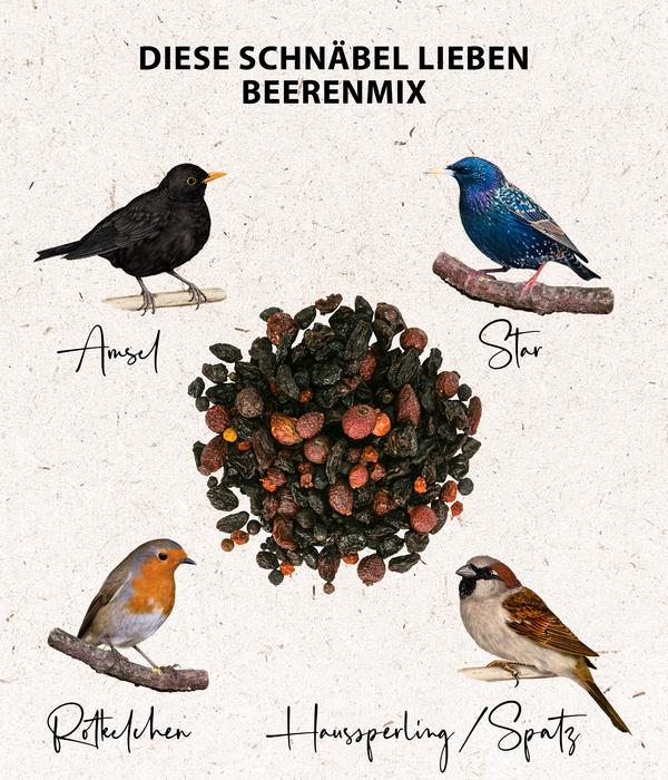 Dehner Natura Premium Wildvogelfutter