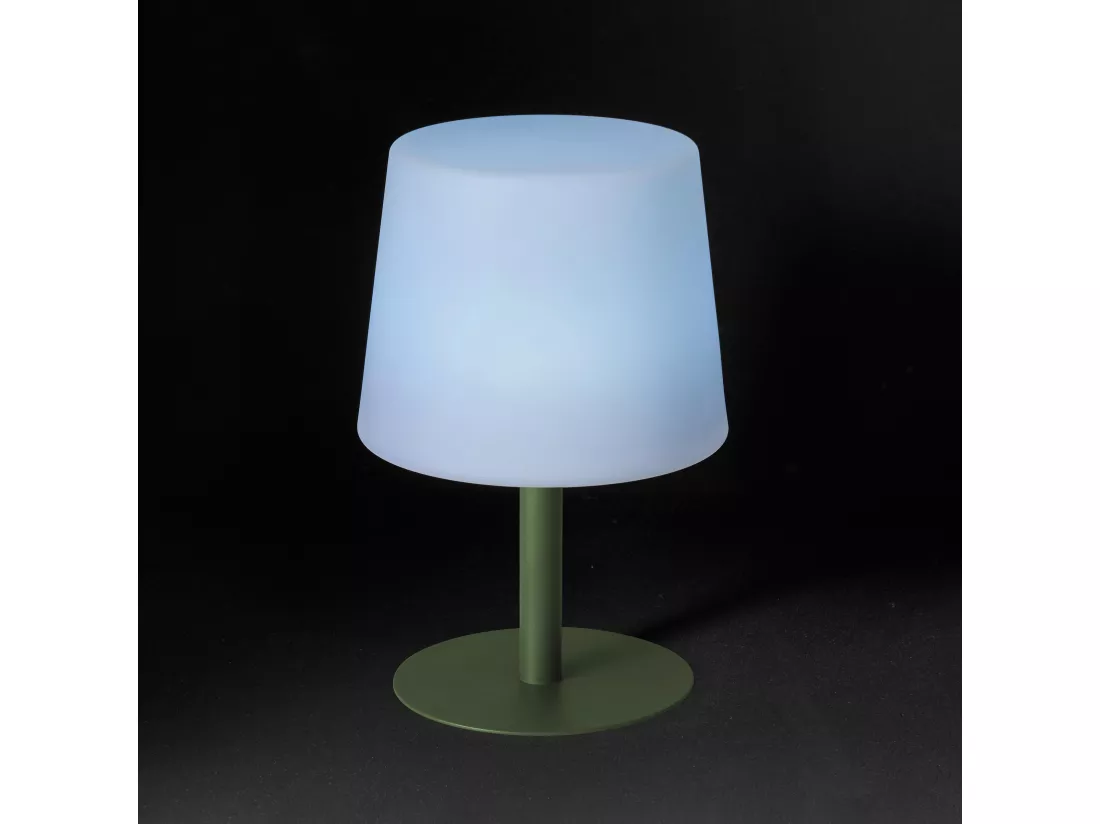 Mini lampe acier vert cactus