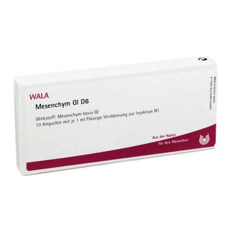 Mesenchym GL D 6 Ampullen, 10X1 ml