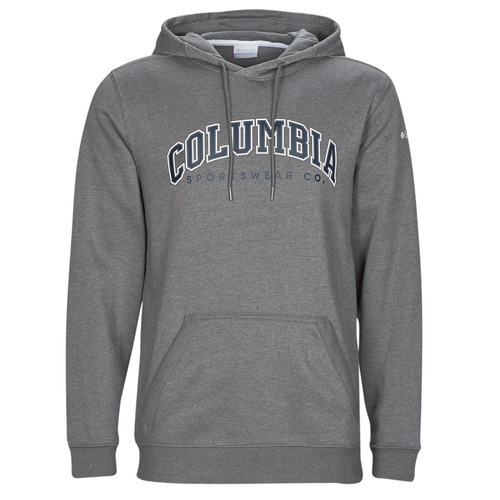 Columbia - CSC BASIC LOGO II HOODIE - Gris