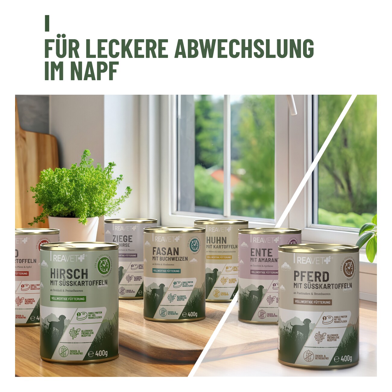 REAVET Hundenassfutter - Huhn mit Naturreis an Möhren & roten Johannisbeeren 6x2,4 kg