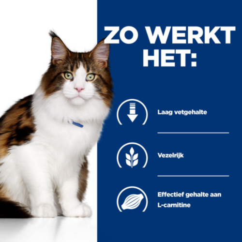 Hill's w/d Multi Benefit - Prescription Diet - Feline - Natvoer