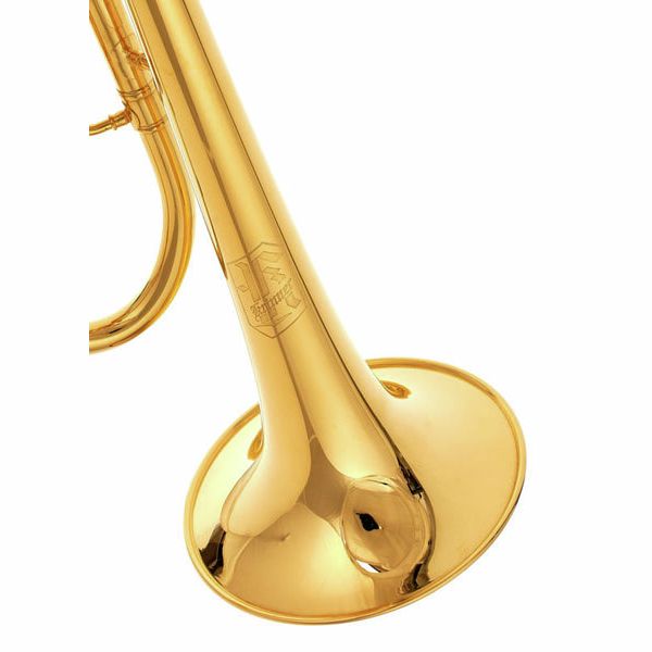 Krinner New Age Heavy Gold