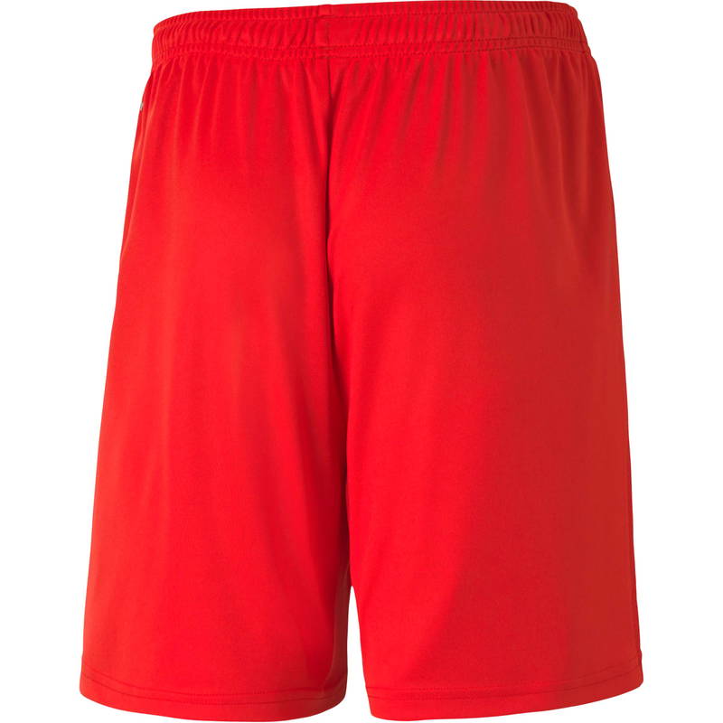 Puma teamGOAL 23 Knit Træningsshorts Børn
