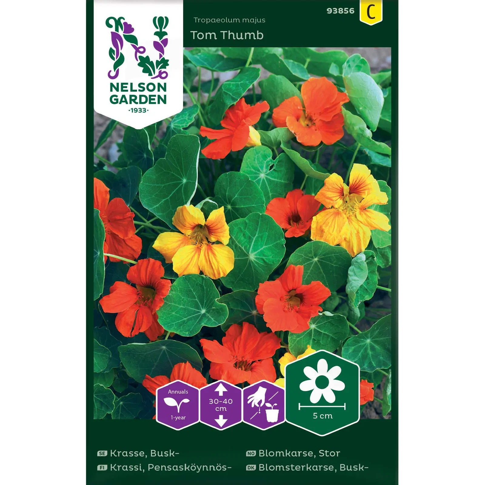 Tropaeolum majus 'Tom Thumb' Stor Blomkarse Tom Thumb