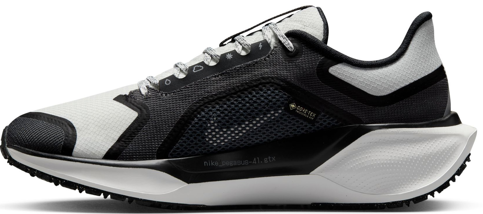 Pegasus 41 GORE-TEX Dame 002/Black/Summit White/Anthracite/Iron Grey