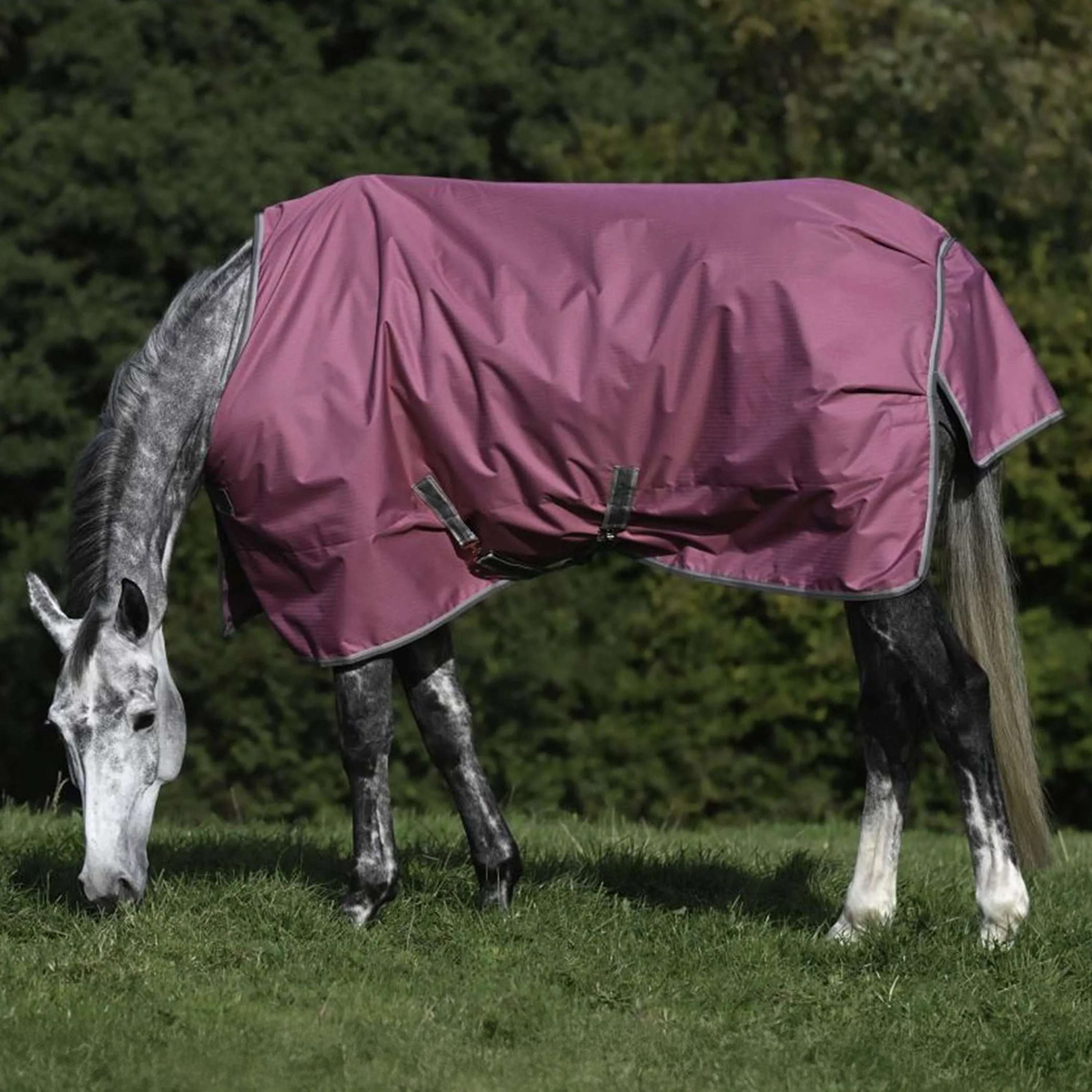 Bucas Freedom Turnout 300g Raspberry