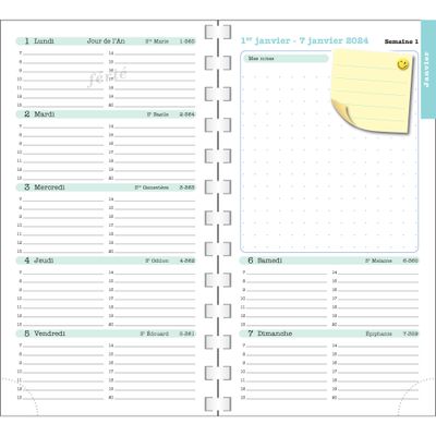 Exacompta Dodo & Cath Lady - Agenda 2025 - semainier - reliure à anneaux métalliques - 16 W Pocket - 90 x 160 mm - carton